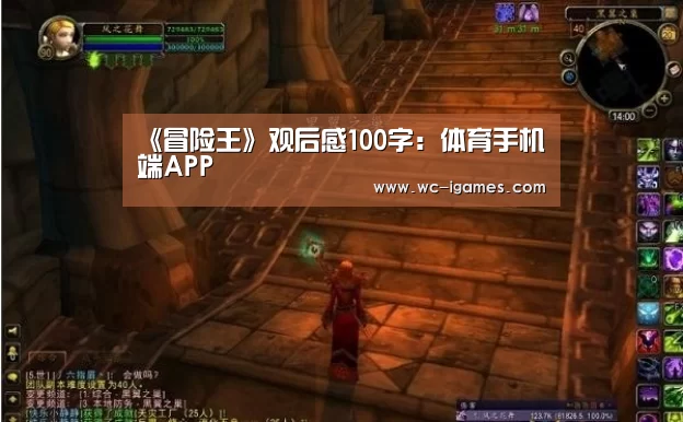 体育手机端APP
