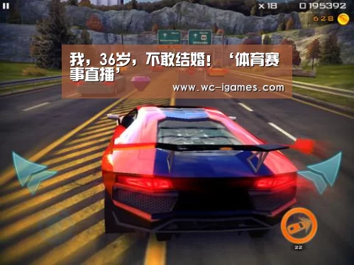 体育手机端APP