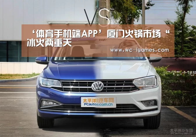 体育手机端APP