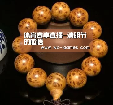 体育赛事直播-清明节的感悟(图1) 爱游戏app