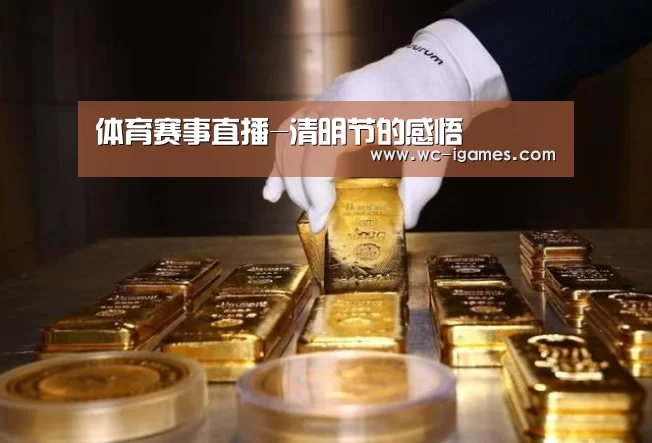 体育赛事直播-清明节的感悟(图2) 爱游戏体育app