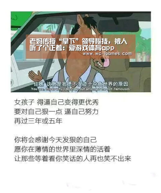 体育手机端APP